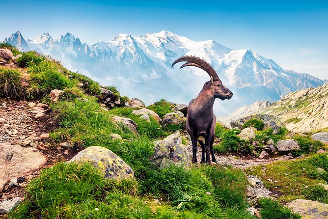 Private Trip from Geneva to Swiss Riviera Montreux & Chamonix - The nine-hour schedule and its limits