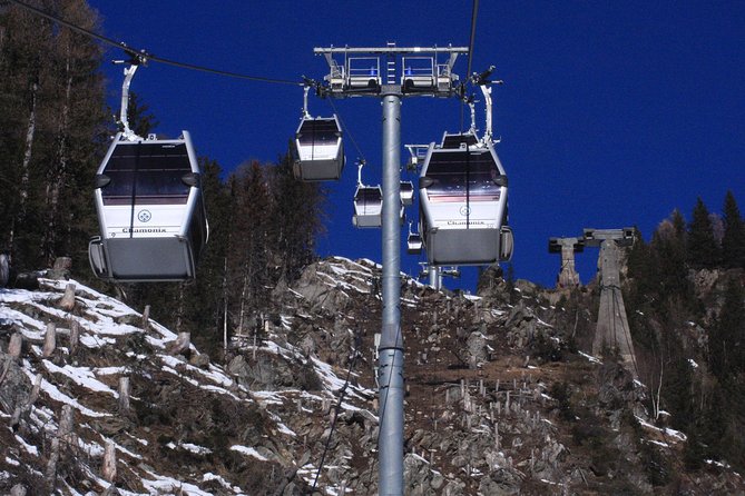 Private Trip from Geneva to Swiss Riviera Montreux & Chamonix - Who should book this private Alpine trip