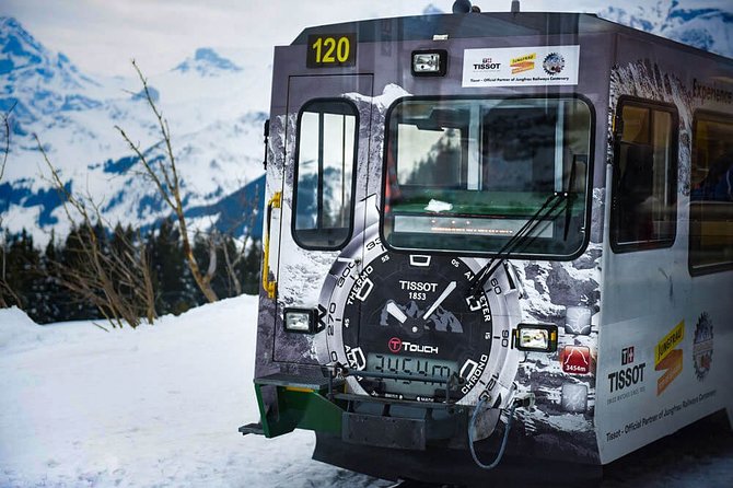 Private trip from Zurich to Jungfraujoch (The Top of Europe) - Who should book this experience?