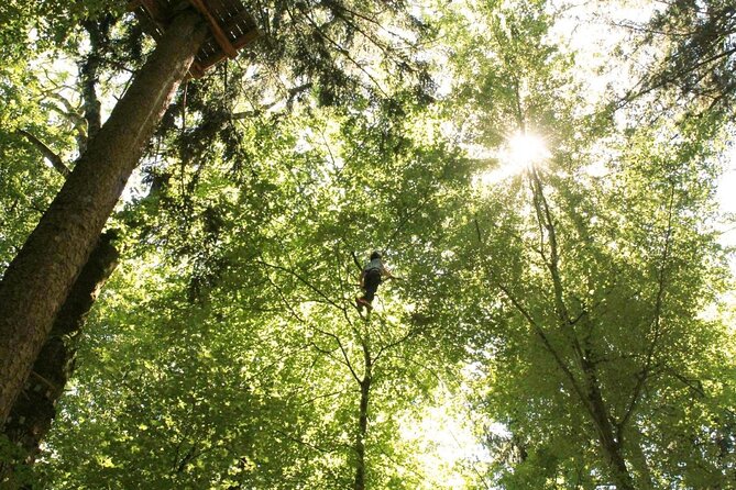 Ropes Park Interlaken - Key points to know before you book