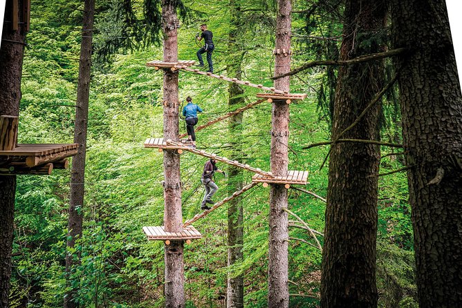 Ropes Park Interlaken - A forest adventure above Interlaken