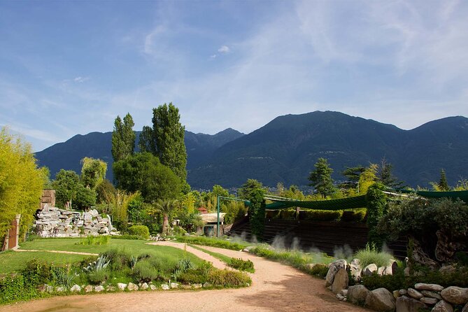 Skip the Line: Falconeria Locarno Ticket - The birds fly close, so choose your seat with care
