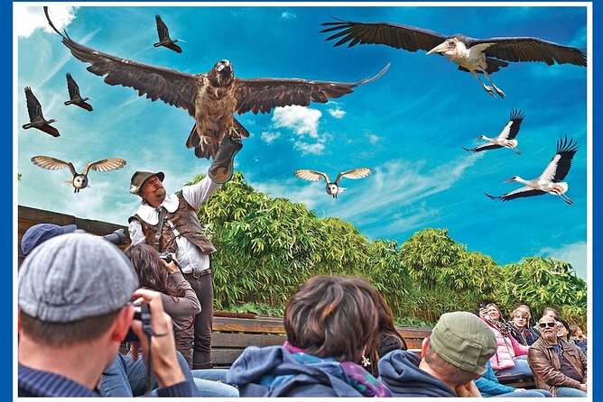 Skip the Line: Falconeria Locarno Ticket - Price and what the ticket covers