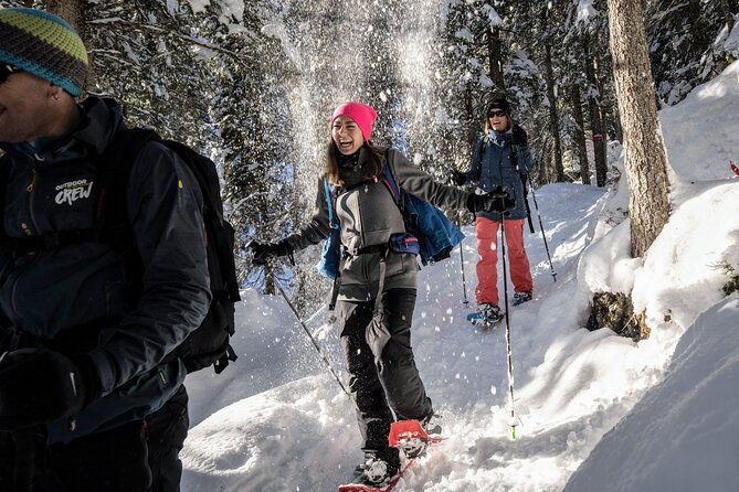 Snowshoe Adventure in the Swiss Alps - Why this snowshoe tour makes sense in Interlaken