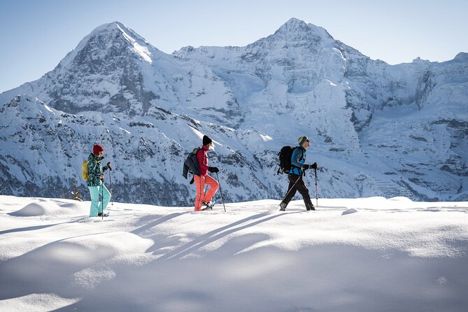 Snowshoe Adventure in the Swiss Alps - Timing, weather, and possible schedule changes