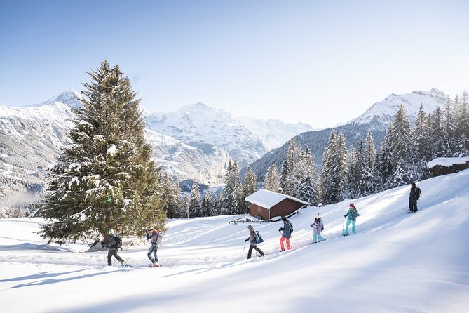 Snowshoe Adventure in the Swiss Alps - Starting at Outdoor in Wilderswil
