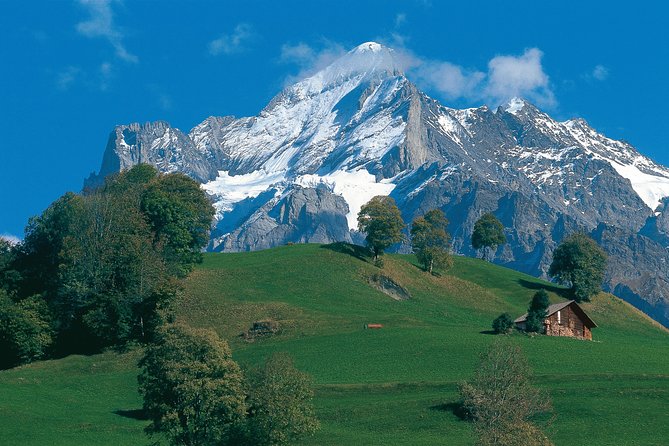 Swiss Alps: Interlaken and Grindelwald Day Trip from Zurich - What this Zurich Alps trip really offers