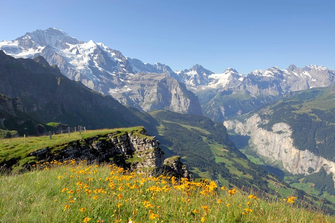 Swiss Alps: Interlaken and Grindelwald Day Trip from Zurich - The guide question: what kind of help will you get?