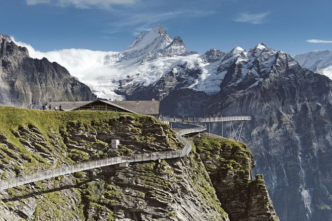 Swiss Alps: Interlaken and Grindelwald Day Trip from Zurich - Who will enjoy this day trip most?