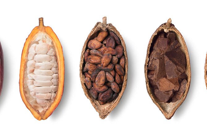 Swiss Chocolate Tasting Experience | Basel - What this Basel chocolate tasting actually offers