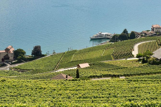 Swiss Wine Tasting at Lavaux Vineyards: Private Trip from Geneva - Key points at a glance