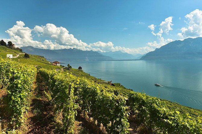 Swiss Wine Tasting at Lavaux Vineyards: Private Trip from Geneva - Leaving Geneva with your own driver