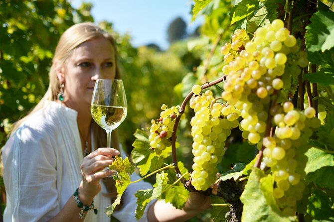 Swiss Wine Tasting at Lavaux Vineyards: Private Trip from Geneva - The guides can shape the day