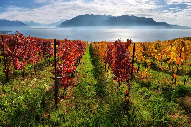 Swiss Wine Tasting at Lavaux Vineyards: Private Trip from Geneva - Who will enjoy this day most