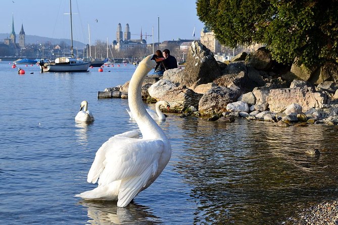 The Best of Zurich Including Panoramic Views in a Small Group Walking Tour - Lake Zurich and the Bürkliplatz Finish