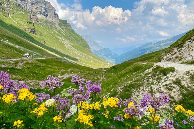 The natural wonders of Switzerland: private tour from Basel (1 day) - Swiss chocolate at Läderach