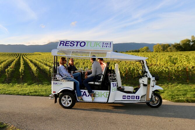 The Private Tuk Tuk Tour with one of The Best Fondues in Geneva! - Parc des Bastions and the Reformation Monument