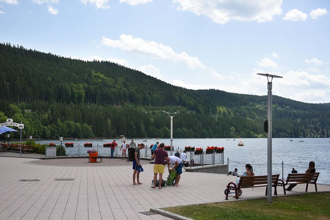 Trip from Zurich to Germany's Black Forest & Swiss Rhine Falls - From Zurich to the roar of Rhine Falls