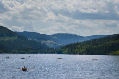 Trip from Zurich to Germany’s Black Forest & Swiss Rhine Falls