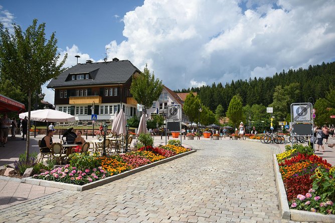 Trip from Zurich to Germany's Black Forest & Swiss Rhine Falls - Guide quality and communication