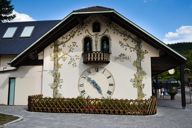 Trip from Zurich to Germany's Black Forest & Swiss Rhine Falls - Who should book this day trip?