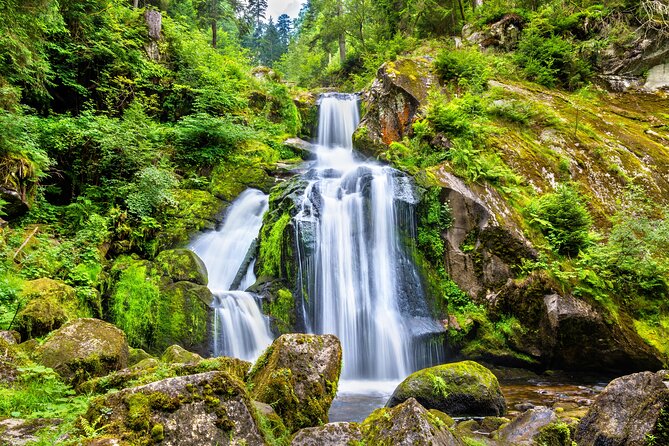 Trip from Zurich to Germany's Black Forest & Swiss Rhine Falls - Booking, cancellation, and practical details