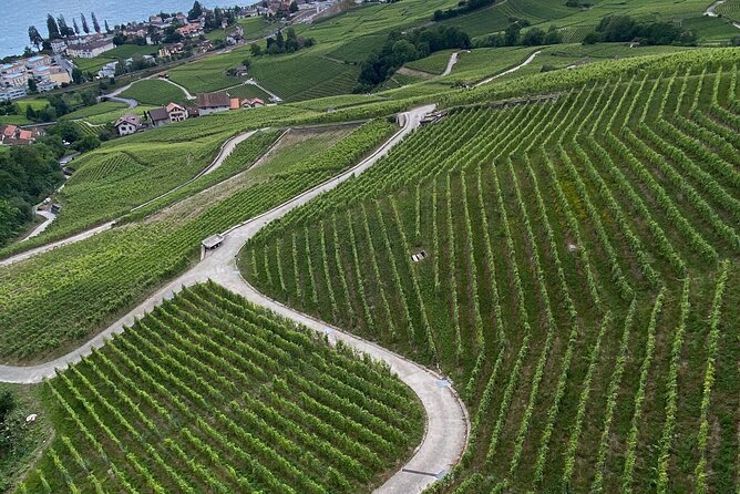 Vine Stories: Lavaux & Lutry wine walk - What the $309.10 price buys you