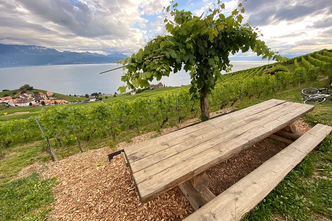Vine Stories: Lavaux & Lutry wine walk - Walking the Grandvaux terraces for about 2.5 hours