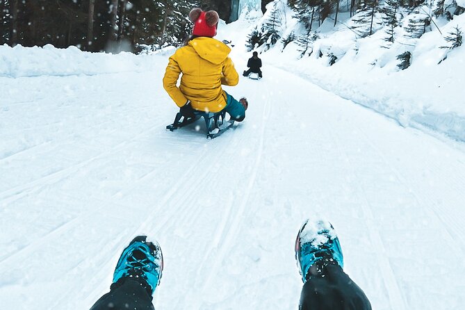 Winter Alpine Adventure - Key points to know before booking