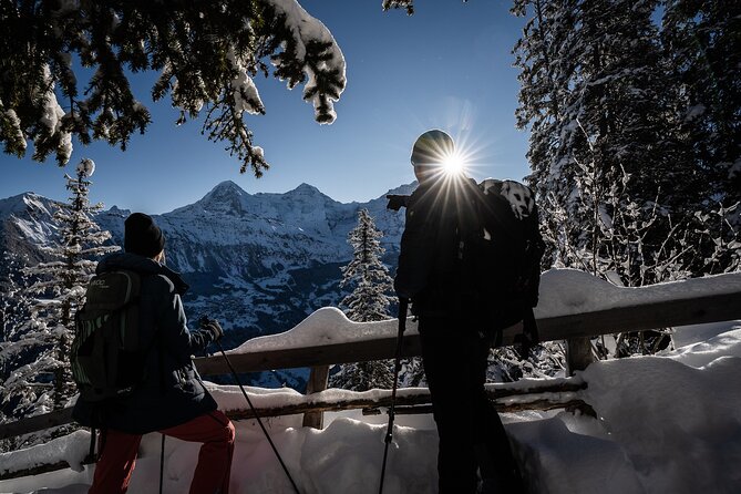 Winter Alpine Adventure - From Interlaken to Sulwald by gondola