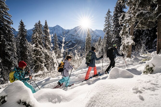 Winter Alpine Adventure - Snowshoeing through Alpine forest