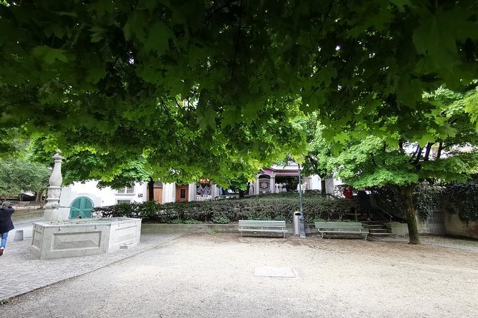 Zürich Historic District Tour - Spiegelgasse and Lenin’s Zurich years