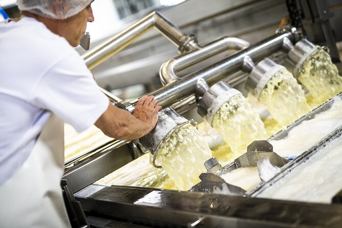 Zurich Open Top Bus, Chocolate and Cheese Factory Tour Appenzell - What this full-day Swiss food tour actually offers