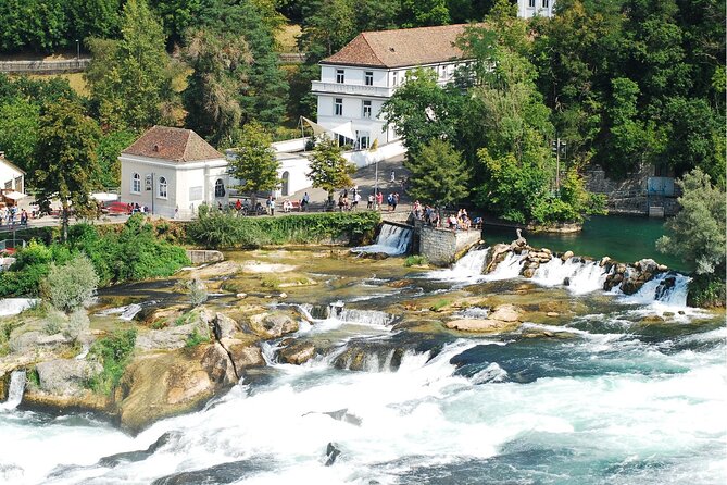 Zürich: Private Car Tour to Rhine Falls, Titisee and Black Forest - Key details before you book