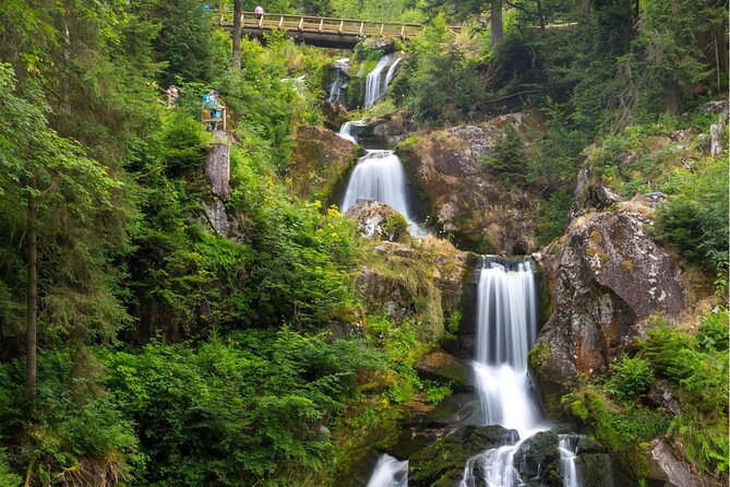Zürich: Private Car Tour to Rhine Falls, Titisee and Black Forest - Triberg combines a waterfall, lunch, and local sights