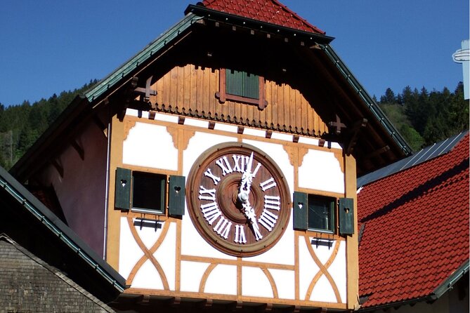 Zürich: Private Car Tour to Rhine Falls, Titisee and Black Forest - Schluchsee is a final photo stop