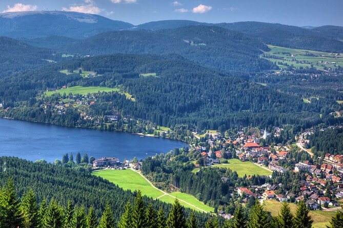 Zürich: Private Car Tour to Rhine Falls, Titisee and Black Forest - The private car is the main value