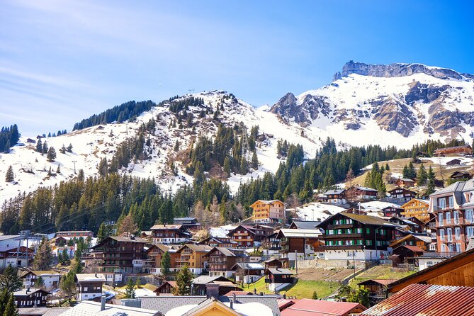 Zurich: Private Daytrip to Swiss Villages(Interlaken-Grindelwald) - What makes the guide matter