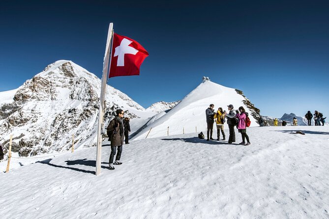 Zurich: Small group tour to Jungfrau, Grindelwald & Interlaken - What the driver-guide actually does