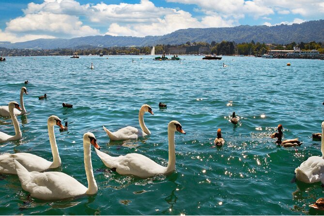 Zurich with Cruise and Lindt Home of Chocolate Private tour - Is $511.68 per person a fair price?